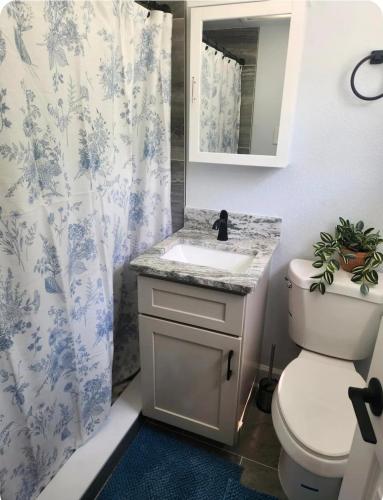 a bathroom with a sink and a toilet and a shower at The Monterey Beach Resort in St. Pete Beach