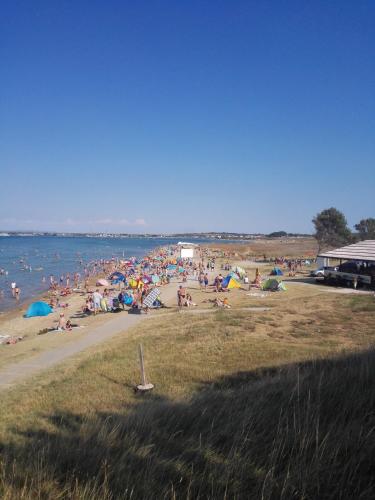 a large group of people on a beach at Apartments Zora in Nin