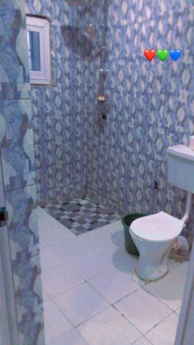 a bathroom with a shower with a toilet and a sink at DALENT RESiDENCE in Brusubi