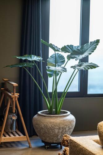 Loft architecte Design Antibes 10 mn Cannes and Sophia Antipolis photo 14