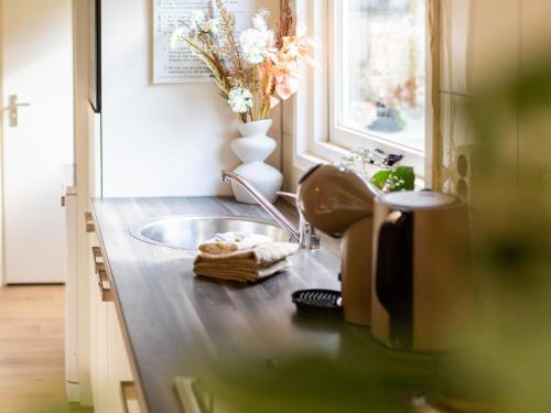 a kitchen counter with a sink and a vase with flowers at Boschalet Stijn in Hattemerbroek