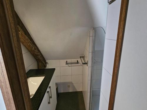 a bathroom with a sink and a shower at Spacious Durbuy Apartment for 6 in Durbuy