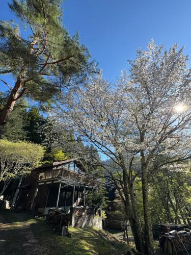 a house with trees in front of it at Cabin D 3min walk Lake Saiko remote work BBQ, 5min drive Kawaguchi Lake Mt Fuji view in Narusawa