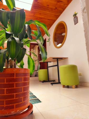 a plant in a room with a table and chairs at Luma Dorada in Bogotá