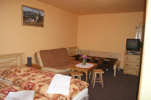 a bedroom with a bed and a chair and a television at Privat u Babky in Ždiar