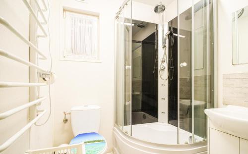 a bathroom with a shower and a toilet at Domek Parterowy in Gąski
