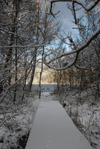 a snow covered path in a park with a bench at Natura Apartamenty in Swaderki
