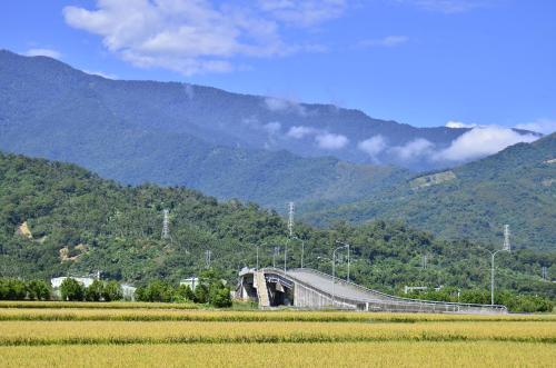 a train on a track in front of a mountain at 八畝田 Bamutian Farmland 8 Mu in Yuli