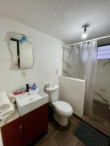 a bathroom with a toilet and a sink and a mirror at Casa de campo en Zacatlán in Zacatlán