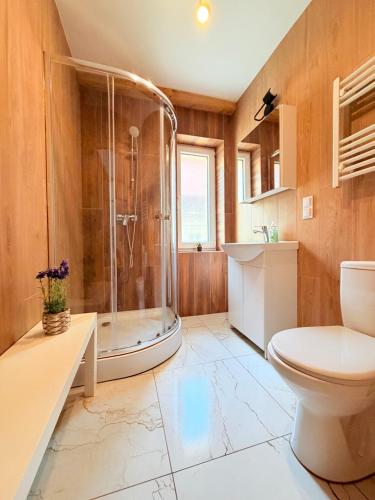 a bathroom with a shower and a toilet at Noclegi Świerzawa 43 in Świerzawa