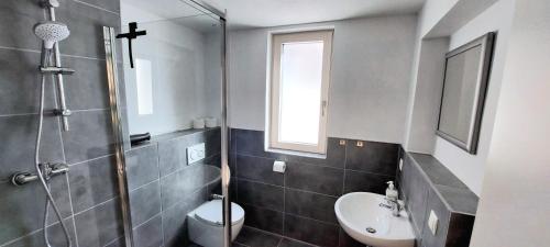 a bathroom with a shower and a toilet and a sink at Alpenrose Ferienwohnung in Balderschwang