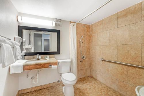 a bathroom with a toilet and a sink and a shower at Quality Inn & Suites Chattanooga-East Ridge in Chattanooga