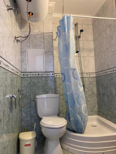 a bathroom with a toilet and a shower curtain at Stylish, 1-Bedroom at Watermill Complex in Bŭnzareto