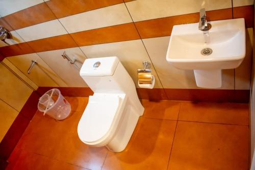 a bathroom with a toilet and a sink at Mount Minar Munnar in Anachal