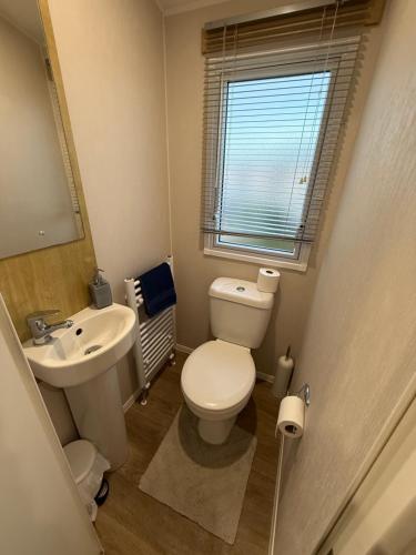 a small bathroom with a toilet and a sink at Golden Palm, Meadow Lakes 8, Chapel St Leonards in Chapel Saint Leonards