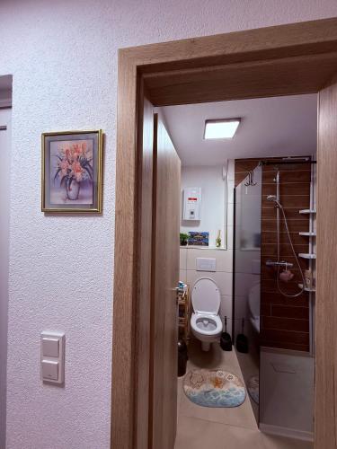 a bathroom with a toilet and a picture on the wall at BM Wohnung in Dillingen an der Saar