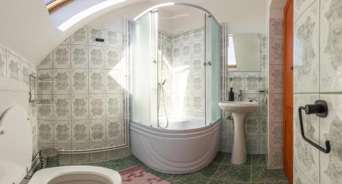 a bathroom with a shower and a toilet and a sink at Írisz Vendégház in Lăzarea