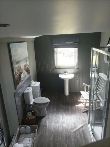 a bathroom with a toilet and a sink and a window at Portamaggie Cottage in Portpatrick