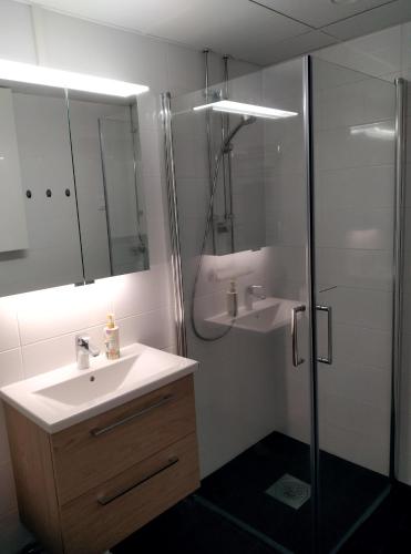 a bathroom with a sink and a shower at Lägenhet Sandåsvägen in Mariehamn
