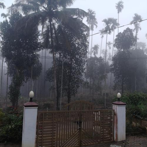Gallery image of Vrindavanam Homestay Wayanad in Panamaram