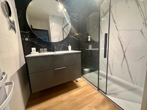a bathroom with a shower and a sink and a mirror at Gite Des Vignes in Verdigny