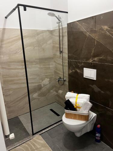 a bathroom with a shower stall and a toilet at Focsani Studio Residence 3 in Focşani