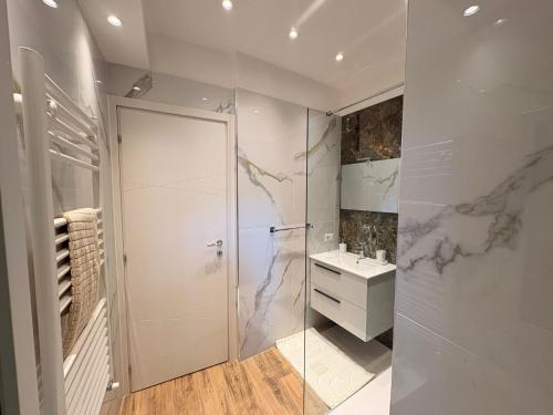 a bathroom with a glass shower and a sink at Home Albert-Lago Maggiore Luino in Luino
