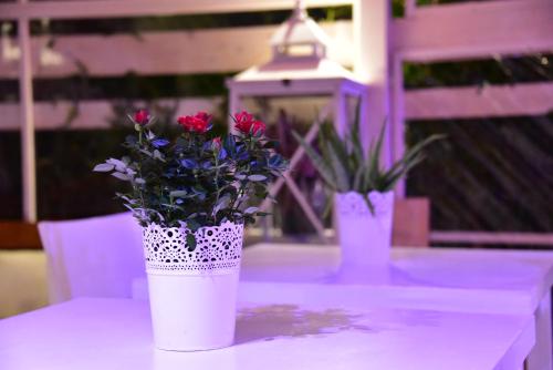 two vases with flowers sitting on a table at Casa Martini in Rome