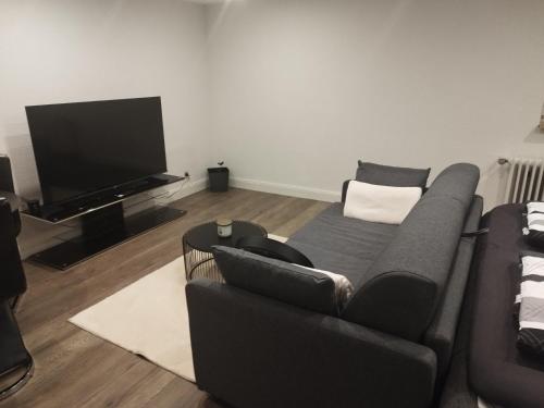 a living room with a couch and a flat screen tv at Dreiländereck erkunden in Lörrach