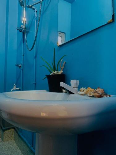 a bathroom with a white sink and a blue wall at Donald House Cabana Kandy in Kandy