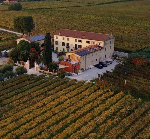 an aerial view of a building in the middle of a vineyard at Corte Bonfiglio Colombari in Illasi
