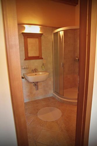 a bathroom with a sink and a shower at Pension Rothschildův dvůr in Bělá