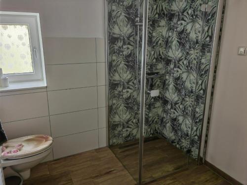 ein Badezimmer mit Dusche und Toilette in der Unterkunft Appartment Frieda in Raduhn