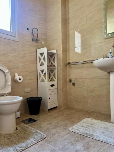 a bathroom with a toilet and a sink and a shower at Yousrys Nest Cozy Rooftop Studio in New cairo