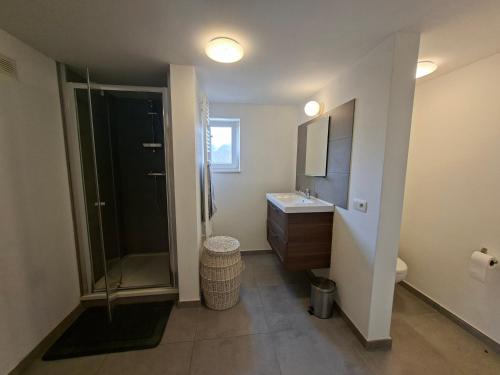 a bathroom with a shower and a sink and a toilet at Coolappart in Mont-Saint-Guibert