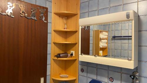 a bathroom with a mirror and a toilet in a room at Studio SISI in Tauplitz