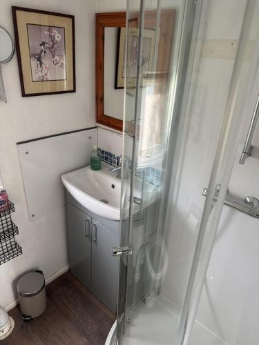 a bathroom with a shower and a sink at Lodge 51 - Caer Beris Park - No Tradesmen in Maesmynis