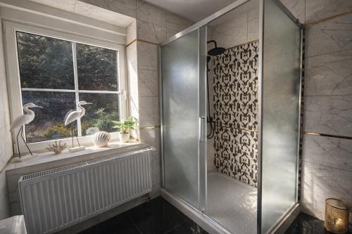 a bathroom with a shower and a window at Fleiš Residence villa - jacuzzi included in Most