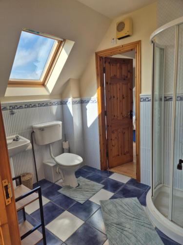 a bathroom with a toilet and a shower and a window at Harbour View Lodge in Dromod