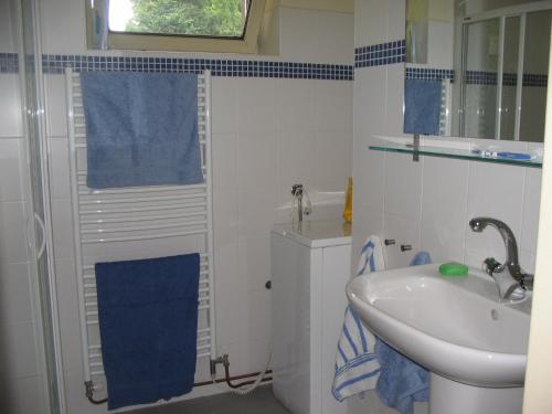 Koupelna v ubytování Vakantiehuis Reuzengebergte