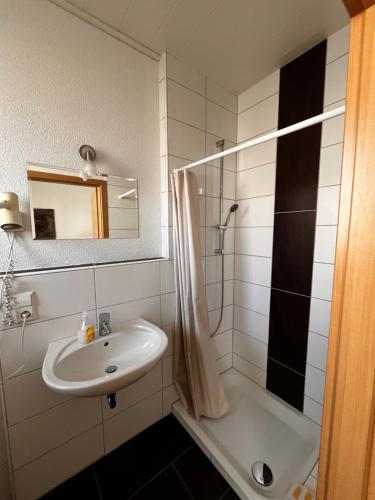 a bathroom with a sink and a shower at Ferienhof Schäfer in Oberderdingen