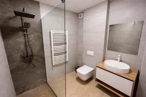 Un baño con ducha, inodoro y lavabo. en Villa Caza, en Chişinău