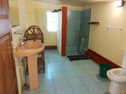 a bathroom with a sink and a toilet at Hotel Le Petit Paradis in Antsiranana
