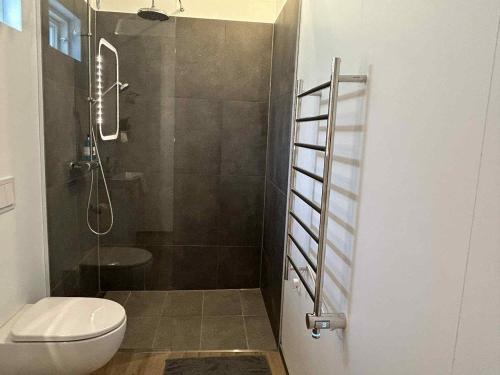 a bathroom with a shower and a toilet and a ladder at Mountain Cabin at Rauðafell in Hvolsvöllur