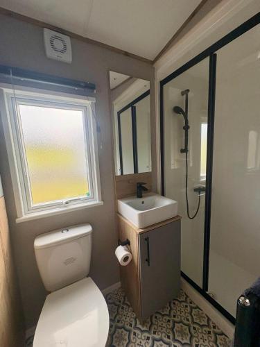 a bathroom with a toilet and a sink and a window at Barnharrow Holiday Park in Newton Stewart
