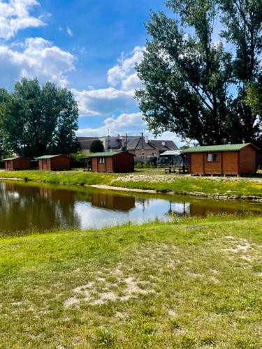 a small pond in a field with houses in the background at Chatka pri vode aj pre rybárov 3 in Galanta