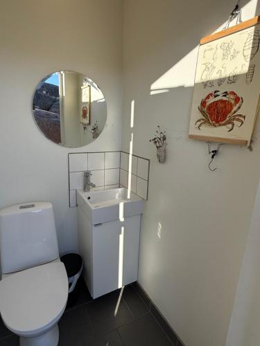 a bathroom with a toilet and a sink and a mirror at Open Water Lodge Smögen in Smögen