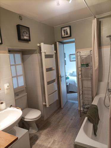 a bathroom with a toilet and a sink and a shower at chez Zaza in Stigny