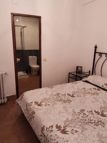 a bedroom with a bed and a bathroom with a shower at Casa Rural Las Mieles in Chillarón del Rey