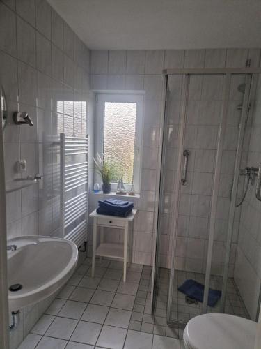 a bathroom with a shower and a sink and a toilet at Rotbuche in Ruhwinkel